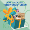 Box d'accueil bienvenue chiens