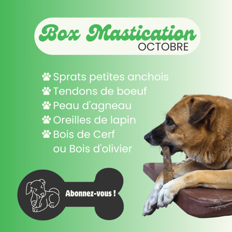 Box mastication pour chien petgreens