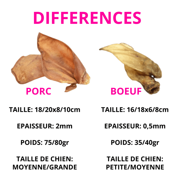 Différence mastication chien pet greens