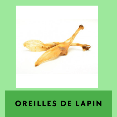 Des Oreilles De Lapin PNG , Lapin, Des Oreilles De Lapin PNG