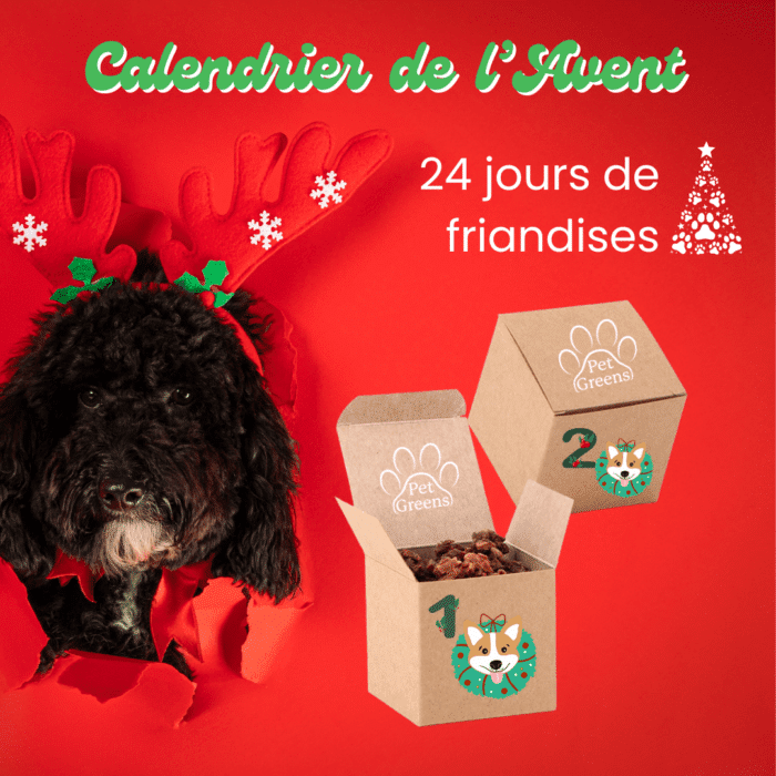 Calendrier de l'avent pour chien 100% naturel – Image 2