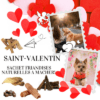 Saint-Valentin Sachet Friandises Naturelles mastication courte, moyenne et longue durée