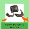 Corne de Buffle Friandises à mâcher longue durée