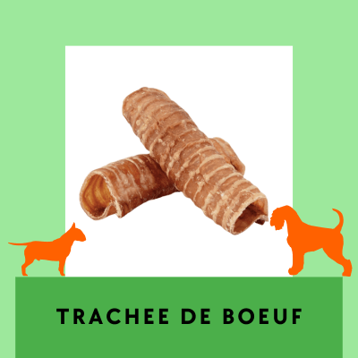 Trachées de bœuf séchées friandises à mâcher longue durée