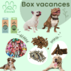 Box vances partir en vacances avec son chien n'a jamais été aussi simple Pet greens