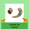 Corne de Vache friandises à mâcher longue durée