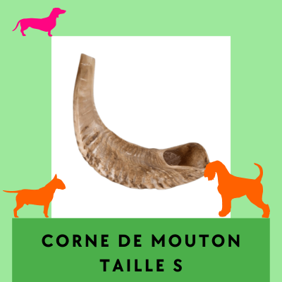 Corne de Mouton S Friandises à mâcher longue durée