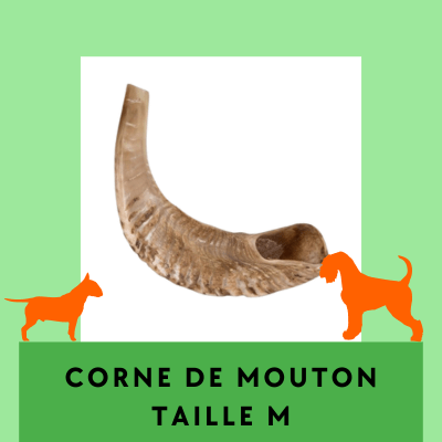 Corne de Mouton Friandises à mâcher longue durée