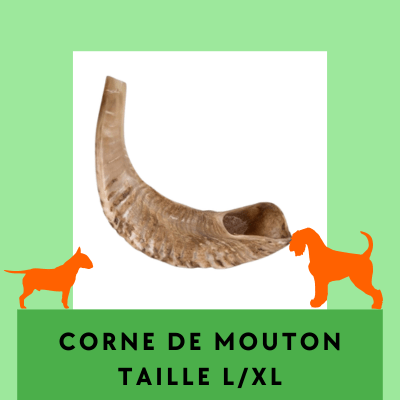 Corne de Mouton L/XL Friandises à mâcher longue durée