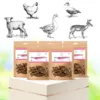 Coffret d'éducation pour chiens