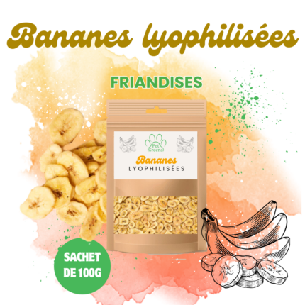 Bananes Lyophilisées Friandises pour chiens