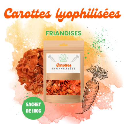 Carottes Lyophilisées Friandises pour chiens