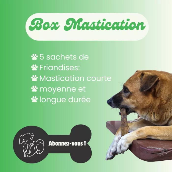 Box mastication pour chien