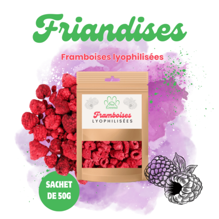 Framboises Lyophilisées Friandises pour chiens