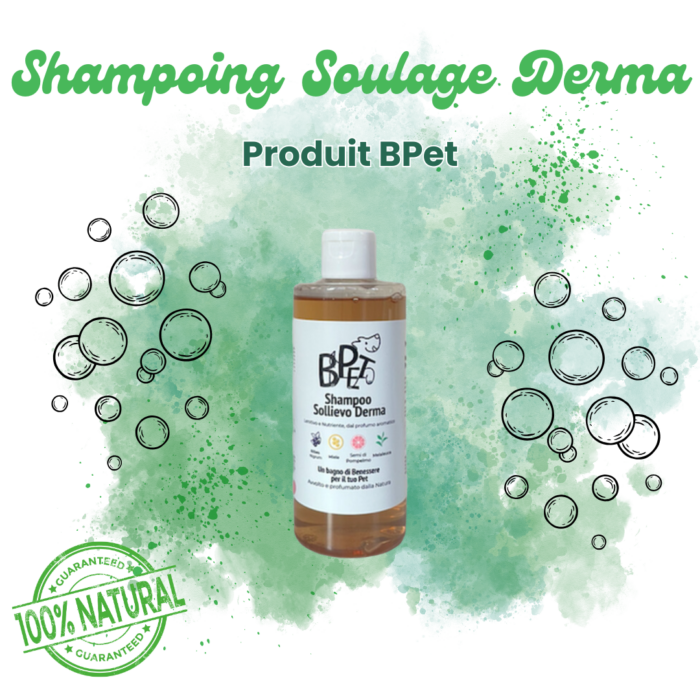 Shampoing Derma Naturelle BPets pour chiens